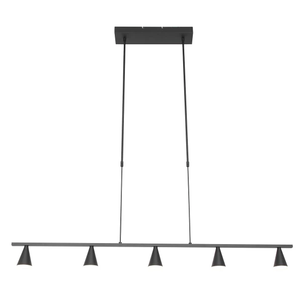 Hanglamp Steinhauer Vortex Zwart 3066ZW-3066ZW